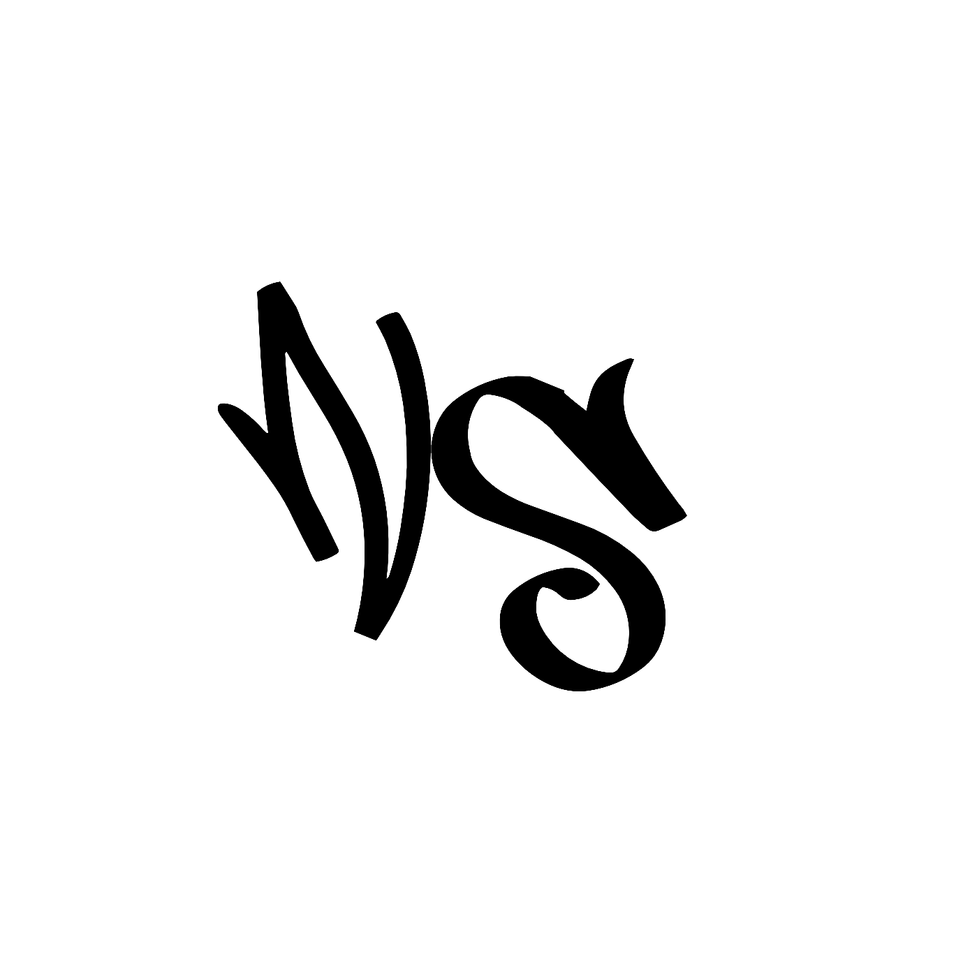 NS Banner